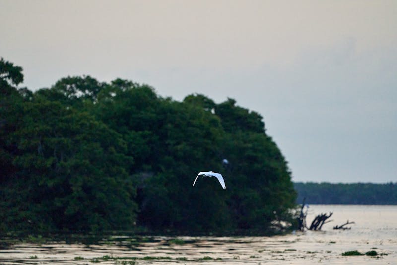 פילטר מזגן מלוכלך לפני ניקוי